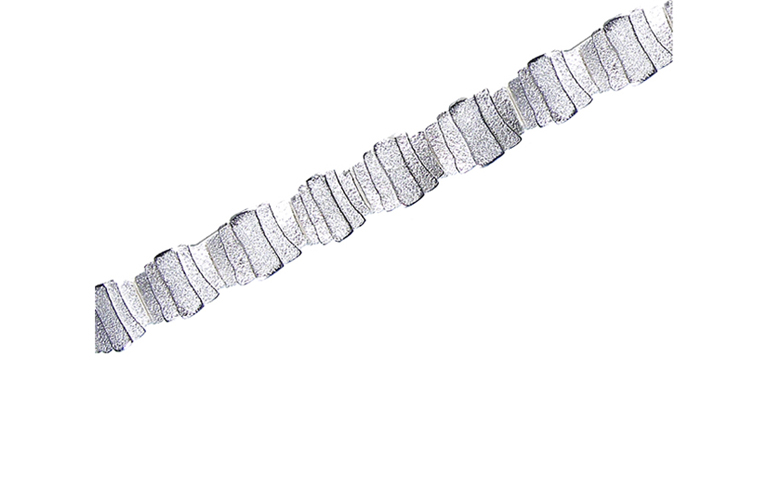 34010-bracelet, silver 925