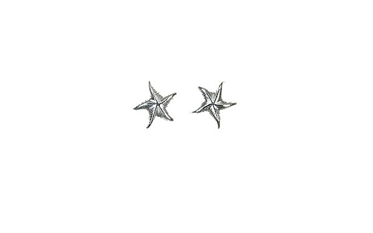 35004-earrings, silver 925